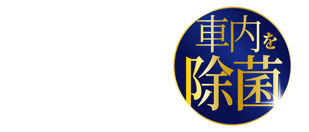 車内どこでも清潔クリーナークロス〔10枚入り〕