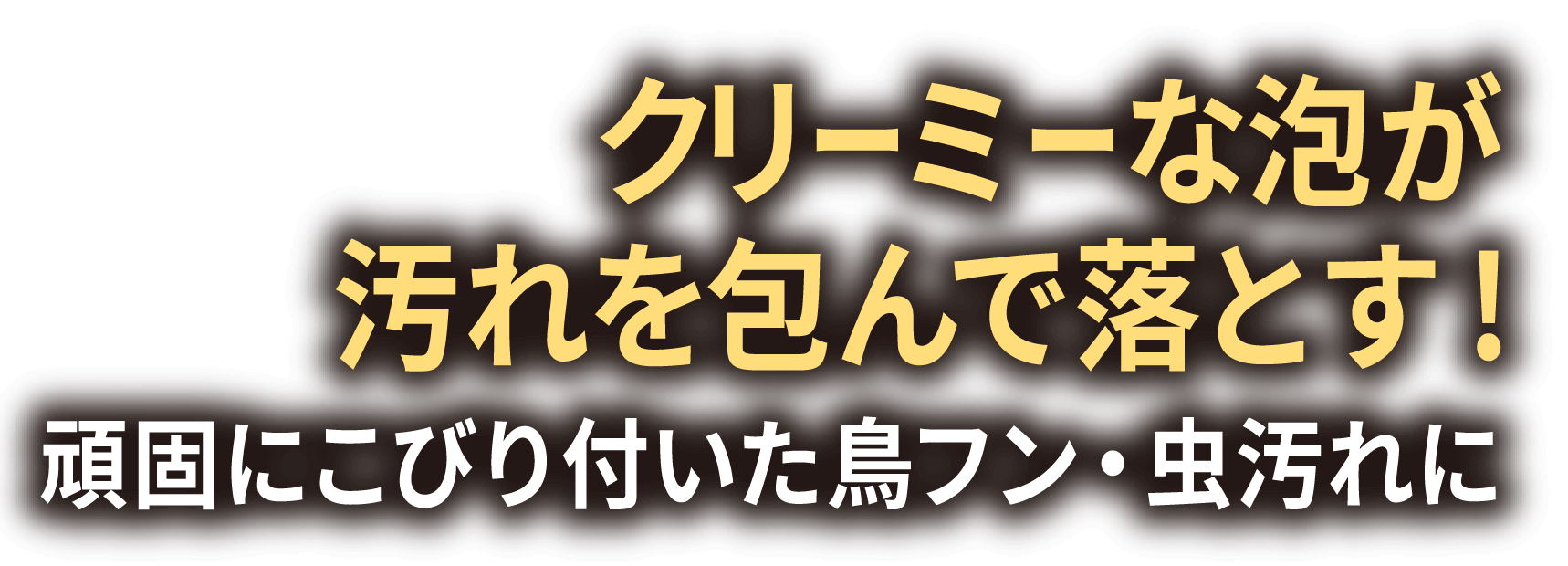 頑固にこびり付いた鳥フン・虫汚れに