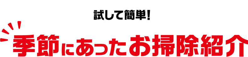 試して簡単！季節にあったお掃除紹介