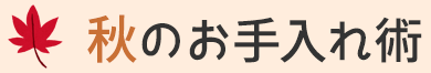 春のお手入れ術 