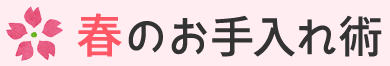 春のお手入れ術 