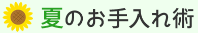 春のお手入れ術 